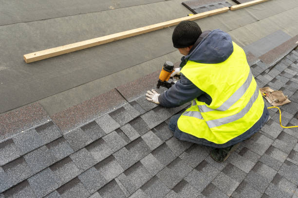 Best Shingle Roofing Installation  in Zephyrhills, FL