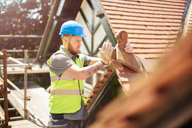 Quick and Trustworthy Emergency Roof Repair Services in Zephyrhills, FL