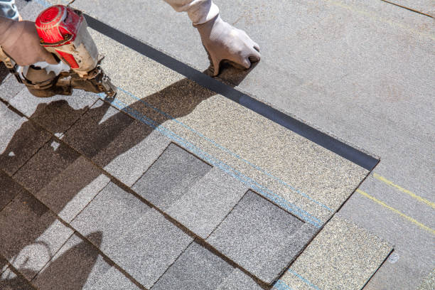 Best Storm Damage Roof Repair  in Zephyrhills, FL