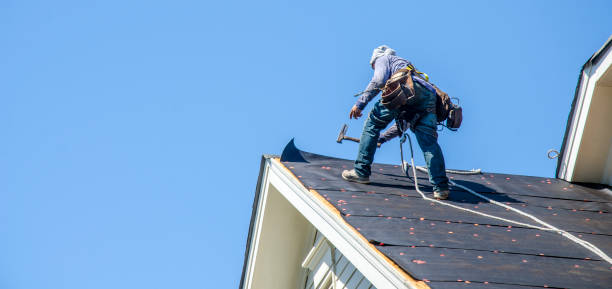 Best Commercial Roofing Services  in Zephyrhills, FL
